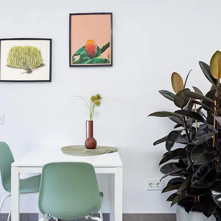 Apartamento Minimalist La Pecera